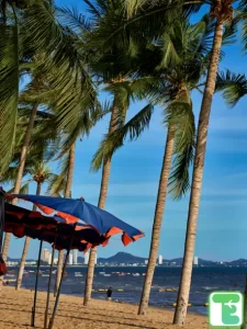 where to stay in pattaya