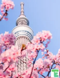 where to stay in Tokyo with family