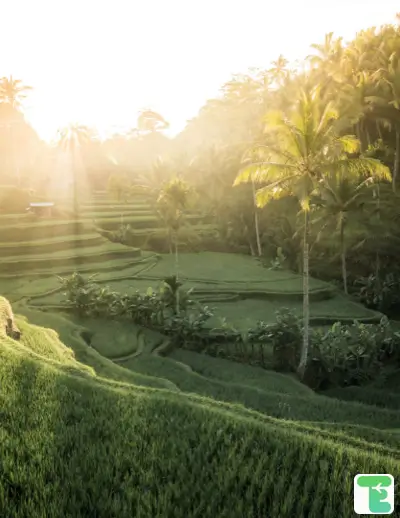 where to stay in bali with kids
