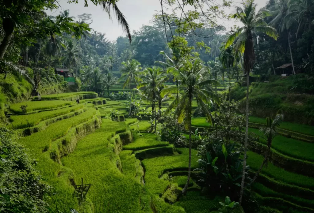 where to stay in bali first time