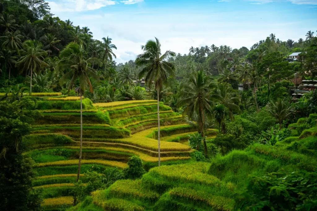 donde alojarse con ninos en bali